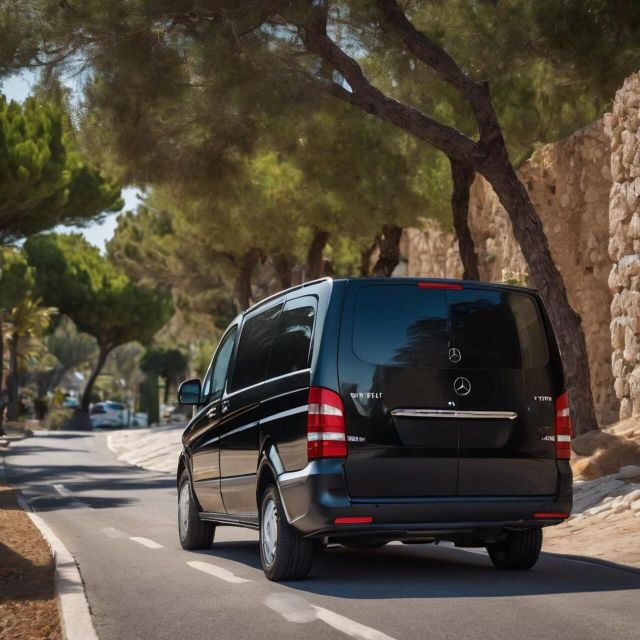 Private Transfer:Athens Center-Rafina Port With Mini Van - Vehicle Type