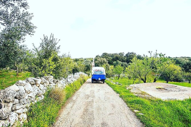 Private Tuk Tuk Tour of the Millenary Olive Groves in Ostuni - Pricing Details