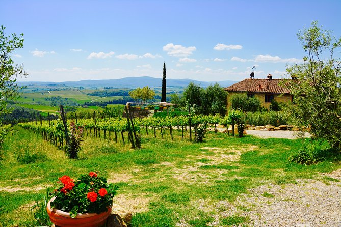 Private Tuscany Day Tour: Siena and Chianti Wine Region From Florence - Reviews and Ratings