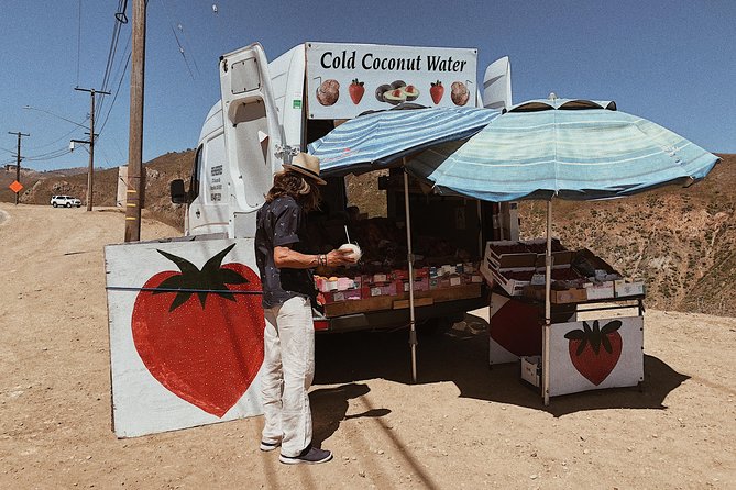 Private Vintage VW Hippie Tour to Malibu With Wine Tasting - Inclusions and Logistics