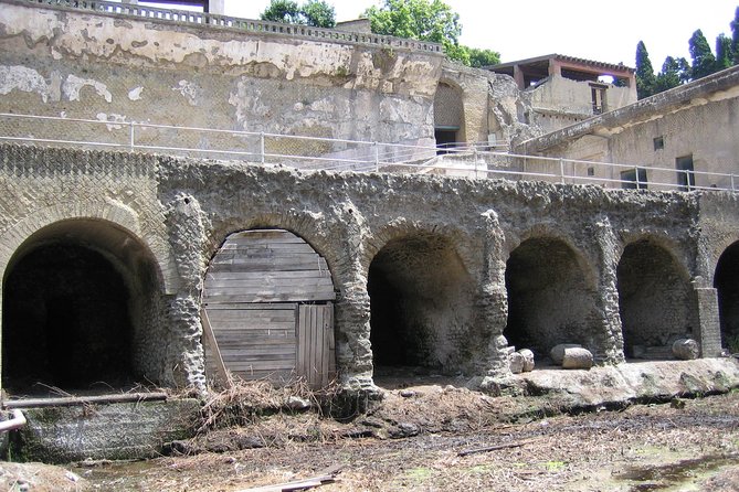 Private Vip Tour of Pompeii Day Trip From Rome - Logistics