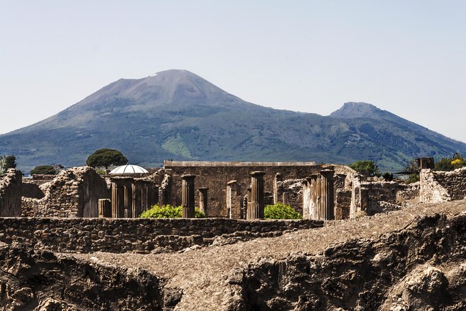 Private VIP Tour to Pompeii Ruins With a Private Guide - Reviews and Ratings