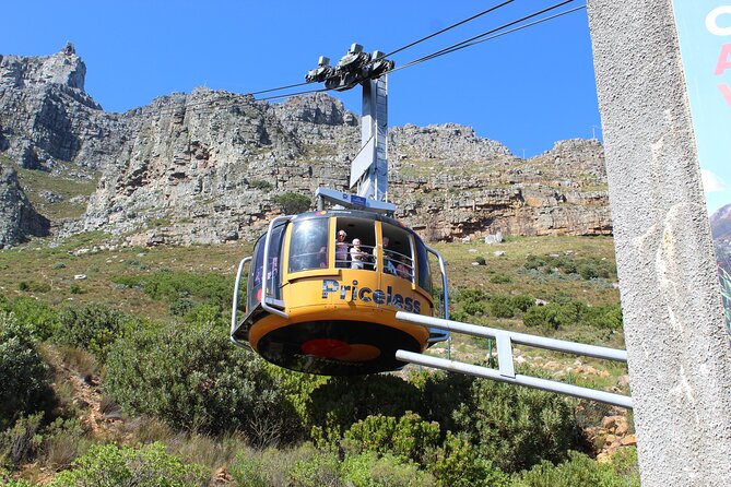 Private Visit to Robben Island Bo-Kaap Plus Table Mountain All Tickets F/day - Booking Information