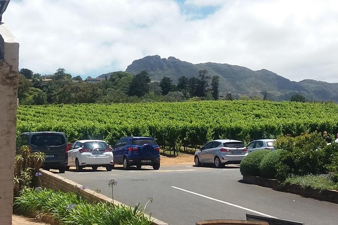 Private Visit to the Wineries Stellenbosch Franschoek From Cape Town Full Day - Wine Tasting Experience