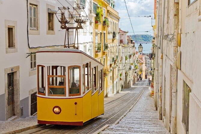 Private Walking Tour in Lisbon With Wine Tasting - Meeting Point and Schedule