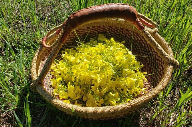 Private Walking Tour in Sierra Dela Tramuntana With Plant Expert - Traveler Requirements