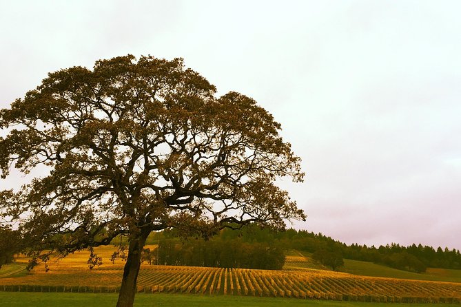 Private Willamette Valley Wine Tour From Portland (All Tasting Fees Included) - Customer Support
