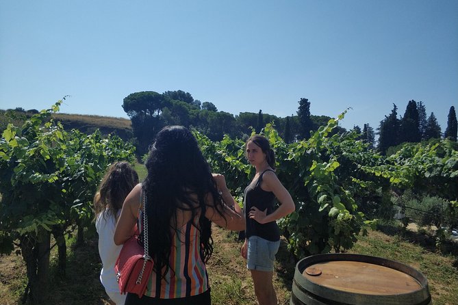 Private Wine Tasting Tour With Picnic Lunch and Hotel Pick up Near Barcelona - Picnic Lunch Menu