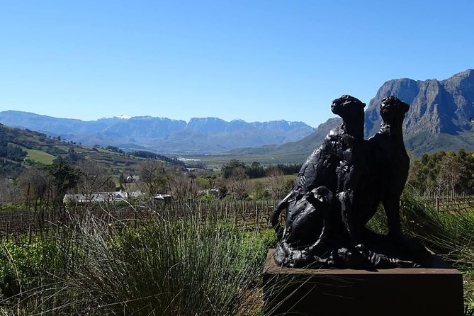 Private Wine Tour With Wine Expert to Stellenbosch-Franschhoek Wine Regions - Traveler Experiences and Reviews