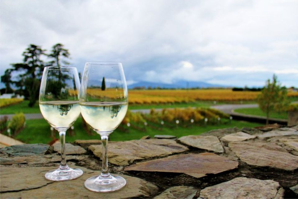 Progressive Wine & Gourmet Trail From Blenheim or Picton - Tour Inclusions