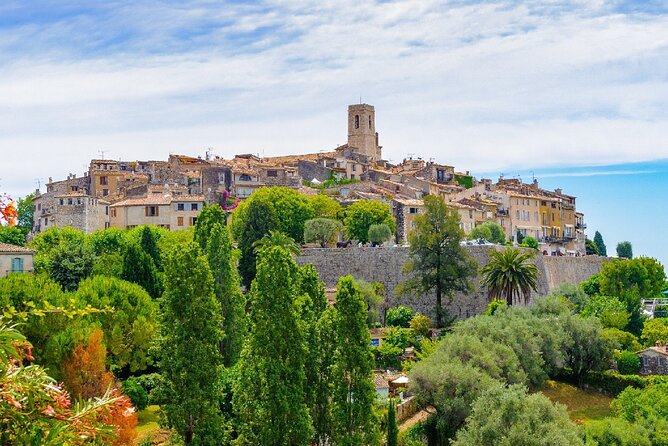 Provencal Market, Wine Tasting & Countryside Private Tour - Wine Tasting Experience