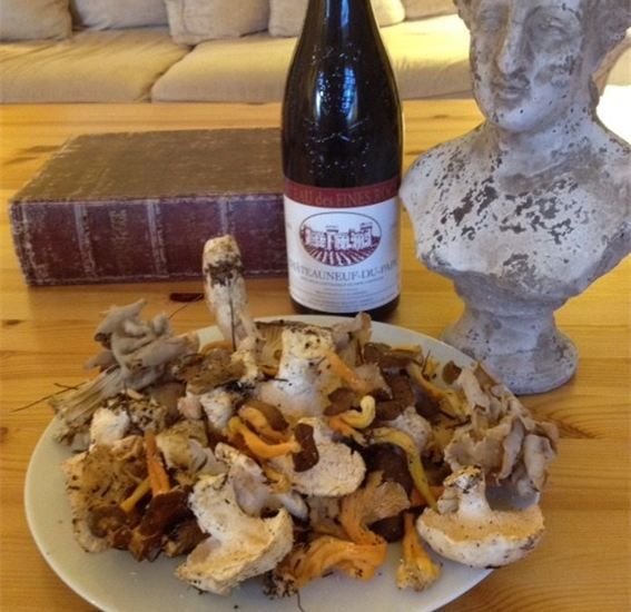 Provence: Mushroom Hunting With Outdoor Breakfast - Customer Reviews