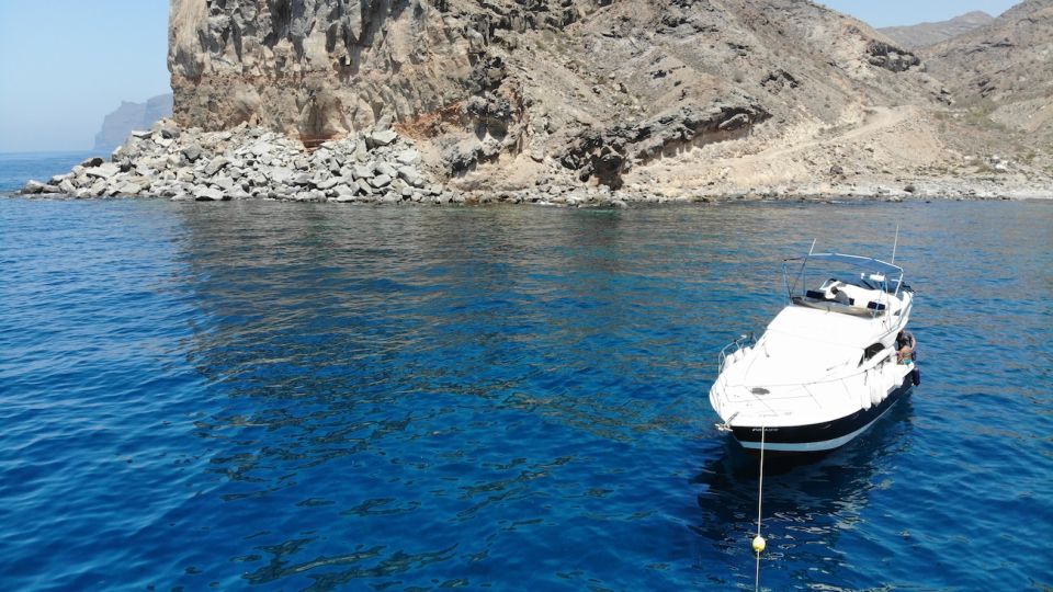 Puerto De Mogan : Dolphin Boat Trip - Experience Highlights