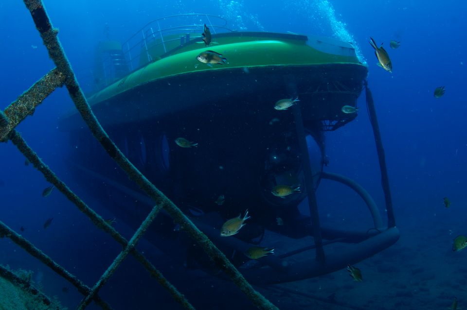 Puerto De Mogán: Submarine Tour - Experience Highlights