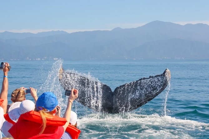 Puerto Vallarta Whale-Watching Tour - Start and End Details