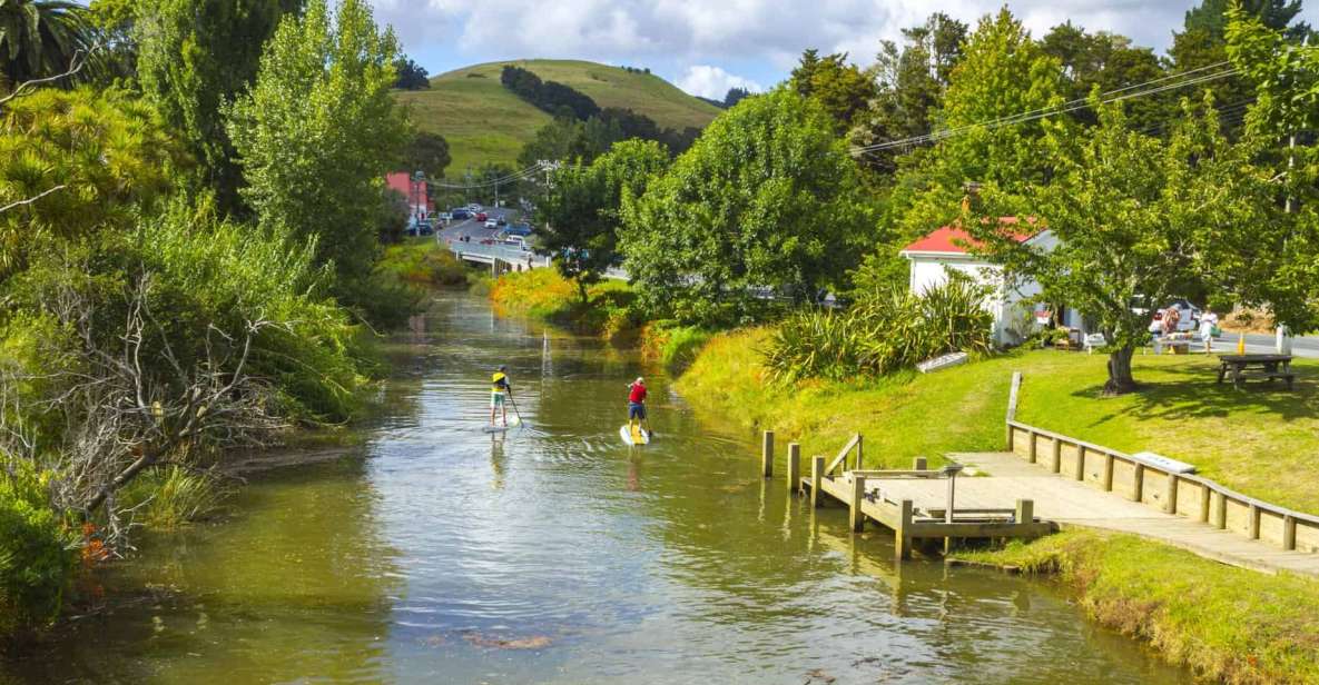 Puhoi Pub River Paddle - Activity Highlights