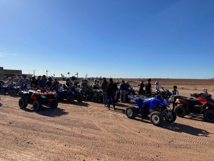 Quad Bike in Desert Jbilat & Palm Grove With Tea & Transfer - Quad ATV Ride