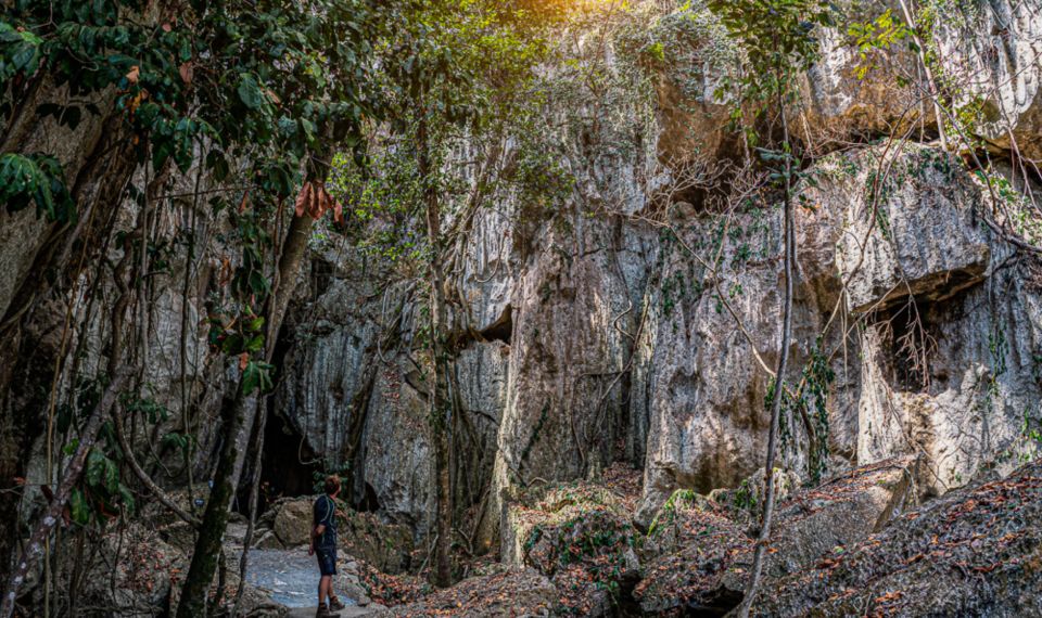 Queensland: 90 Minute Capricorn Caves Explorer Tour - Tour Duration and Language