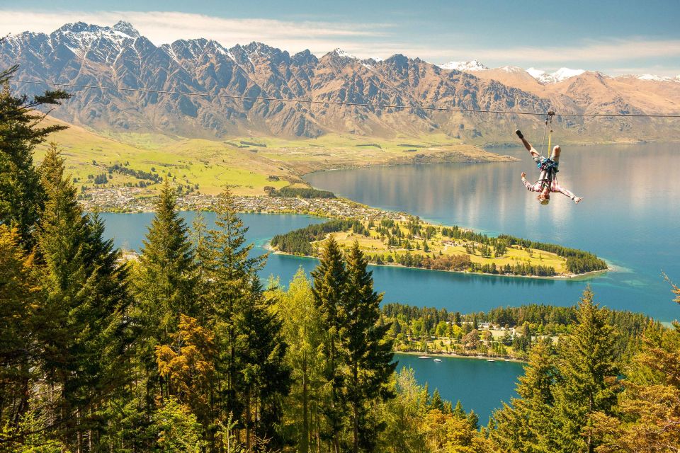 Queenstown: 3-Hour Zipline Adventure With 6-Lines - Customer Reviews