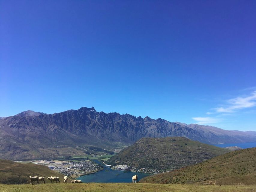 Queenstown: 360-Degree UTV Tour - Booking Flexibility and Cancellation Policy