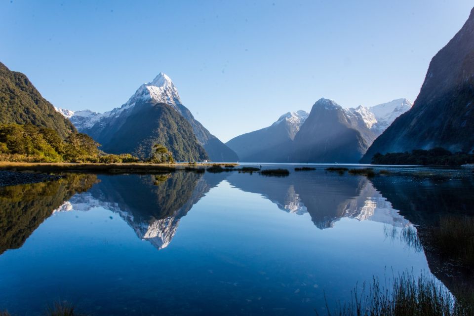 Queenstown: Milford Sound Cruise & Helicopter Alpine Tour - Experience Highlights