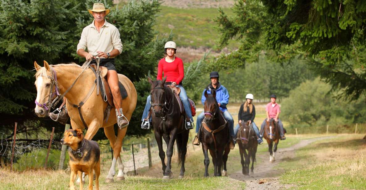 Queenstown: Walter Peak Horse Trek & TSS Earnslaw Cruise - Experience Highlights