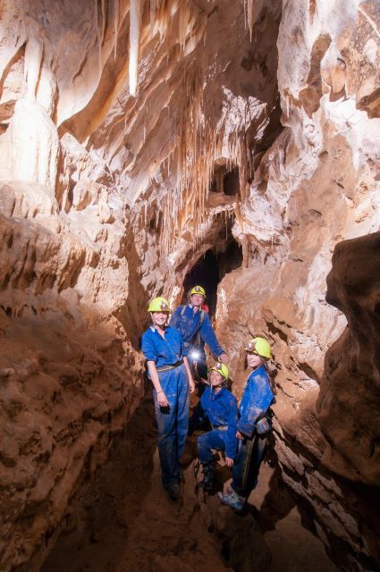 Raglan: Guided Cave Adventure With Glow Worms - Experience Highlights