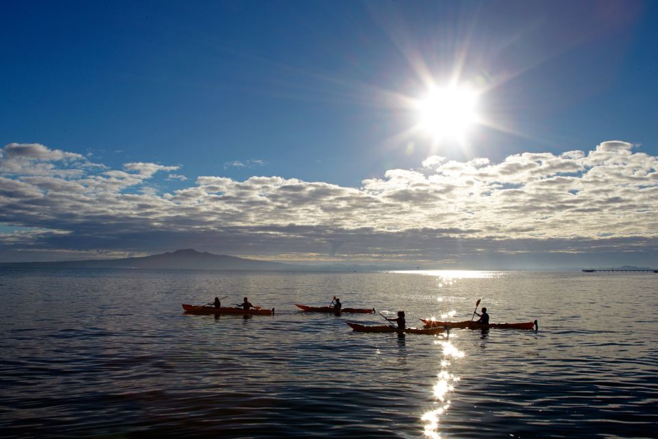 Rangitoto Island: Sea Kayak & Summit Hike Day Trip - Experience