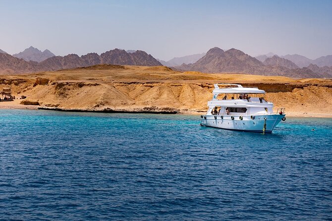 Ras Mohamed and White Island Snorkeling Trip and One Stop Diving-Sharm El Shiekh - Booking and Confirmation