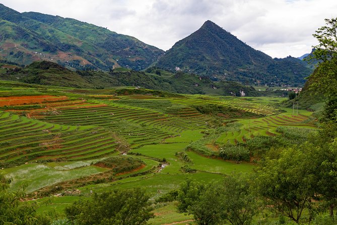 Red Dao Village Trek and Herbal Bath - Herbal Bath Benefits