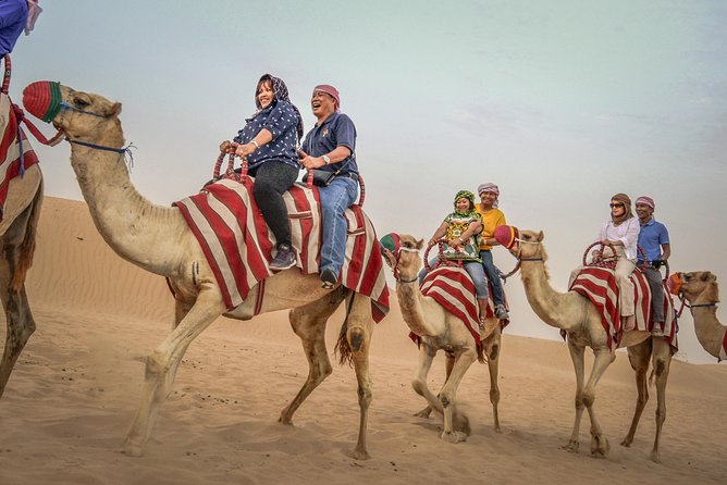 Red Dunes by Quad Bike, Camel Ride, Sandboarding and BBQ - Set out on a Lively Camel Ride