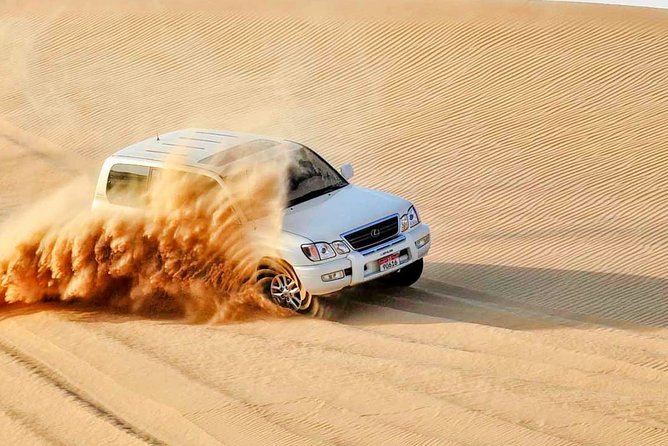 Red Dunes , Sandboarding, Camel Ride & BBQ at Al Khayma Camp - Sandboarding Thrills