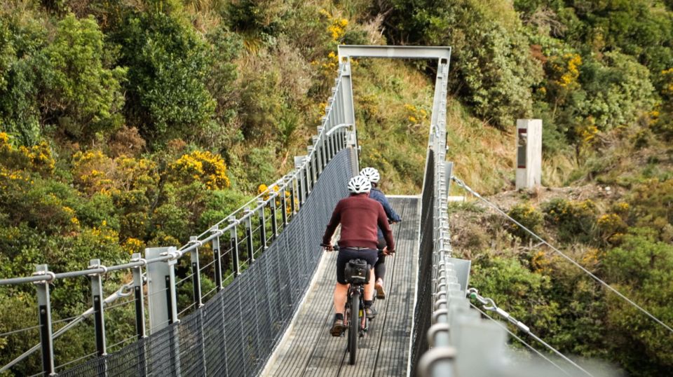 Remutaka Rail Trail Mountain Bike Explorer - Experience Highlights