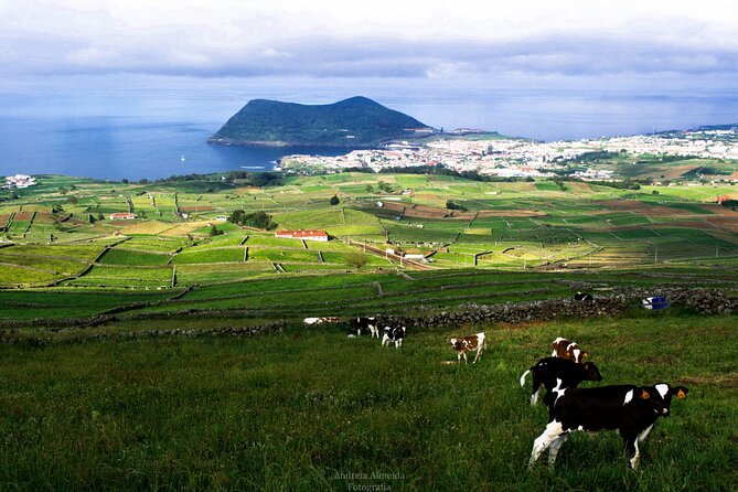 Rent Moped Scooter Terceira Island Angra Do Heroismo - Meeting and Pickup Information