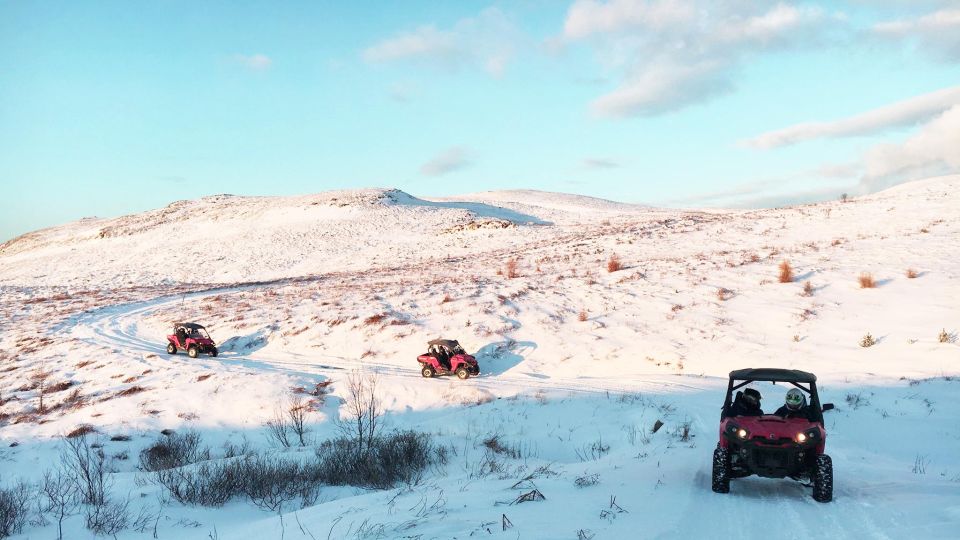 Reykjavik: Buggy Safari Tour With Hotel Transfers - Experience Highlights