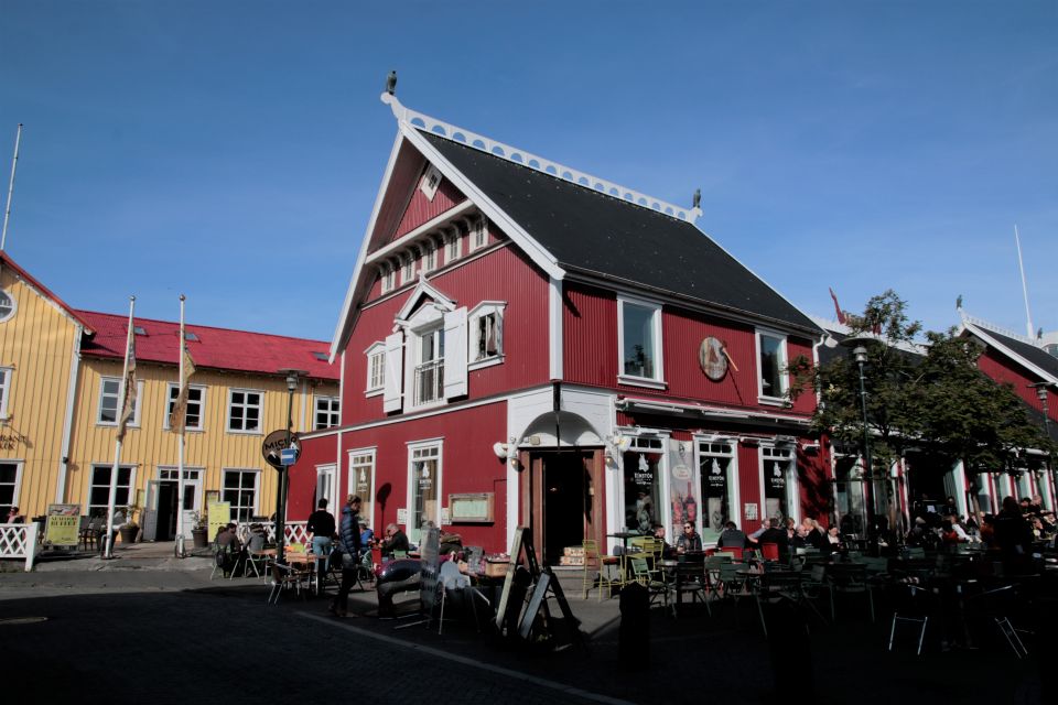 Reykjavik: Guided City Walking Tour - Tour Highlights