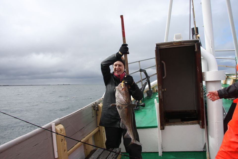 Reykjavík Sea Angling Gourmet - Gourmet Lunch