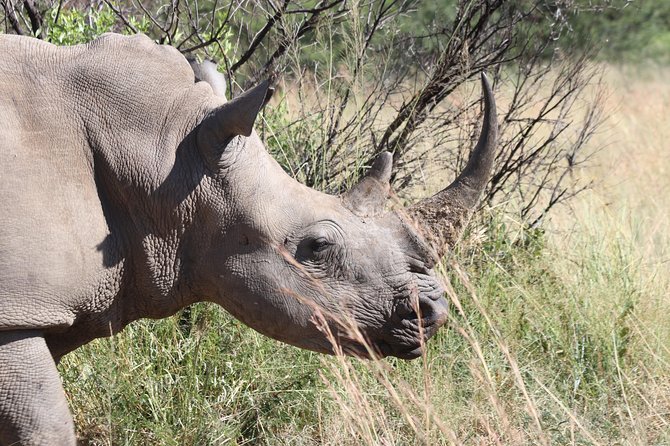 Rhino & Lion Nature Reserve & Wonder Caves - Booking Information