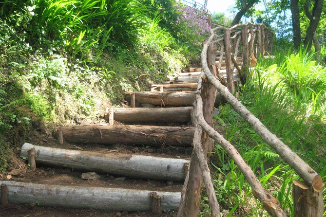 Ribeiro Frio - Portela (Full Day Walk) - Scenic Highlights