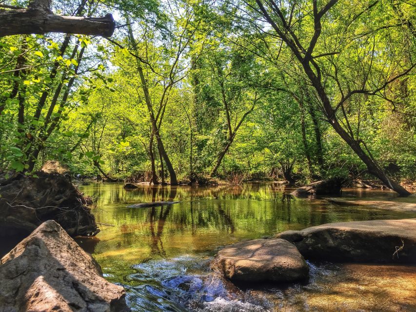 Richmond: Guided Hike in James River Park - Experience Highlights