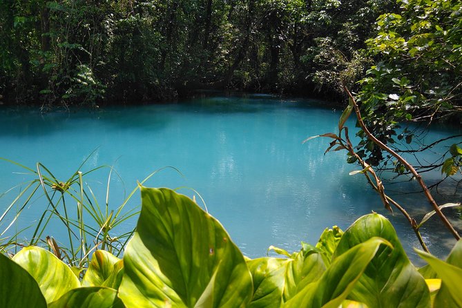 Rio Celeste Waterfall & Sloth Encounter Tour - Nature Photography Opportunities