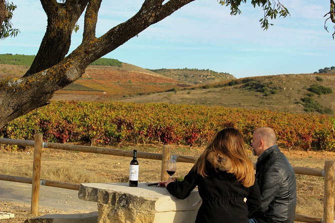 Rioja: Food and Wine Private and Customizable Tour  - Basque Country - Wine Tasting Options
