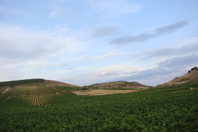 Rioja Wine Country Full-Day Private Wine-Tasting Tour  - San Sebastian - Additional Info