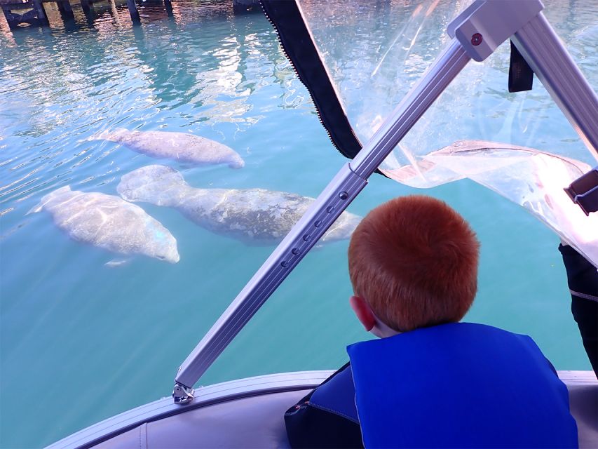 River Cruise With Manatee Viewing - Wildlife Experience