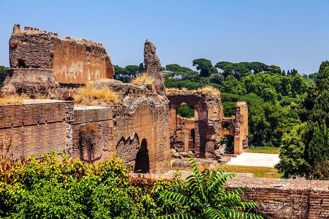 Rome Exclusive Caracalla Bath Private Guided Tour VIP Entry - Tour Overview