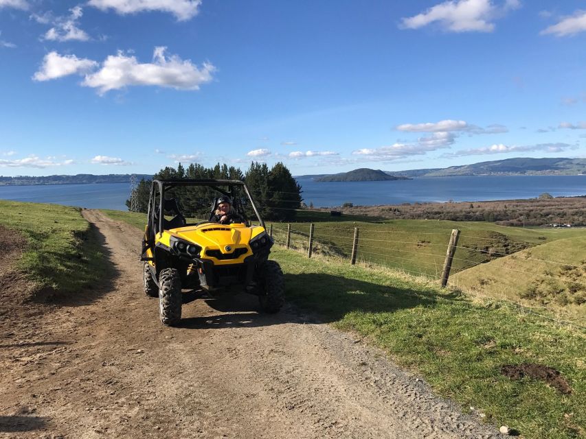 Rotorua: 44 Self Drive Buggy Tour Through Farm and Bushland - Booking Information