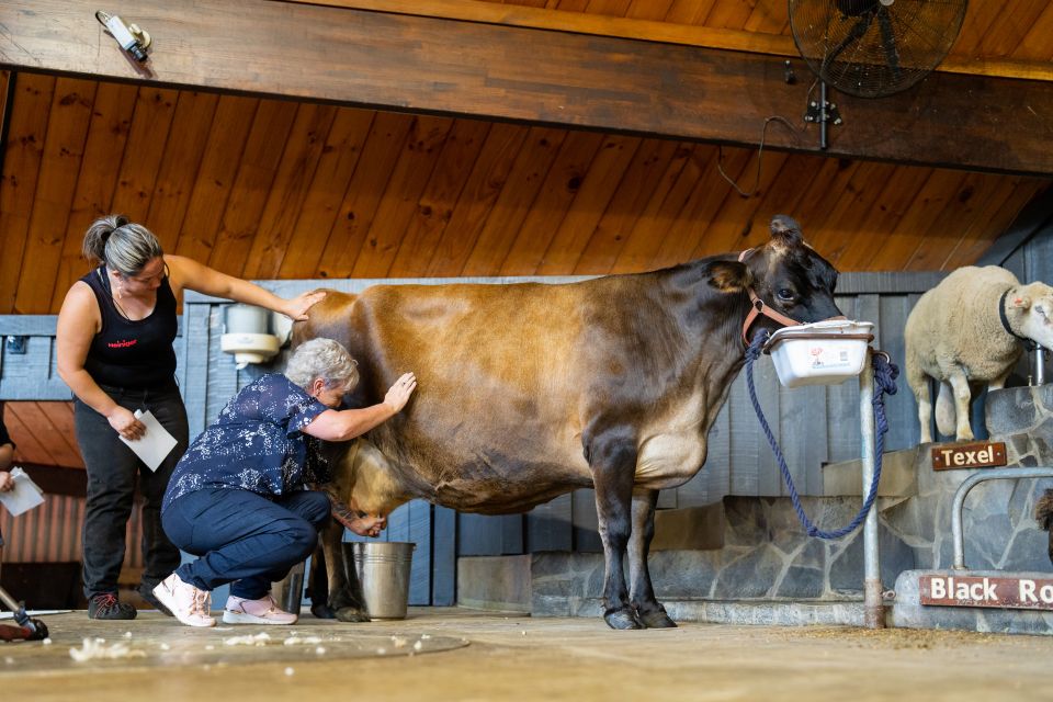 Rotorua: Agrodome Farm Tour With Show and Produce Tasting - Experience Highlights