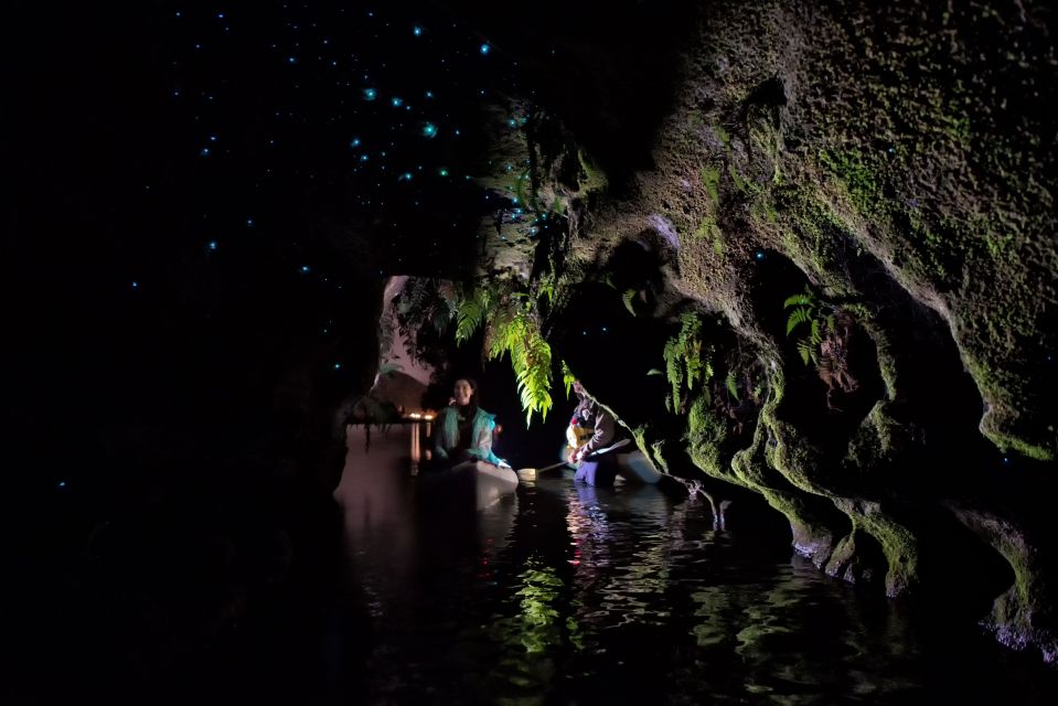 Rotorua: Evening Glow Worm Guided Kayaking Tour - Experience Highlights