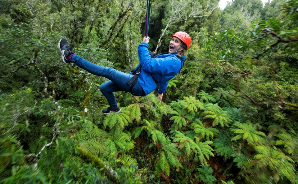 Rotorua: Guided Zipline Adventure Tour With Photos - Experience Highlights