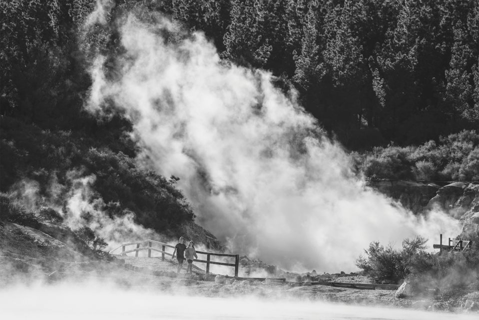 Rotorua: Hell's Gate Geothermal Walk - Experience Highlights